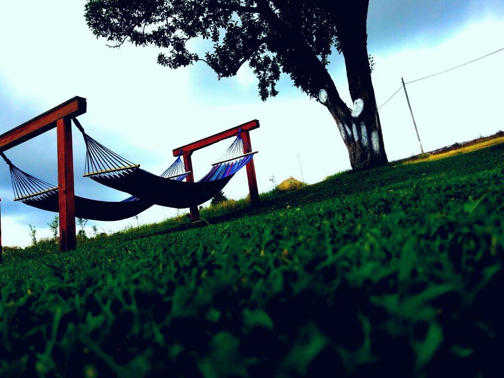 Pensiunea Casa Eden Mărişel Bagian luar foto