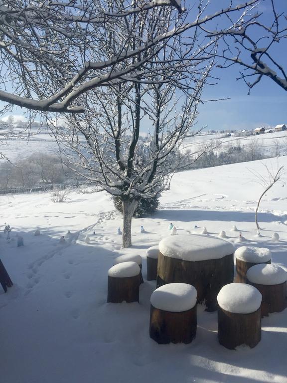 Pensiunea Casa Eden Mărişel Bagian luar foto